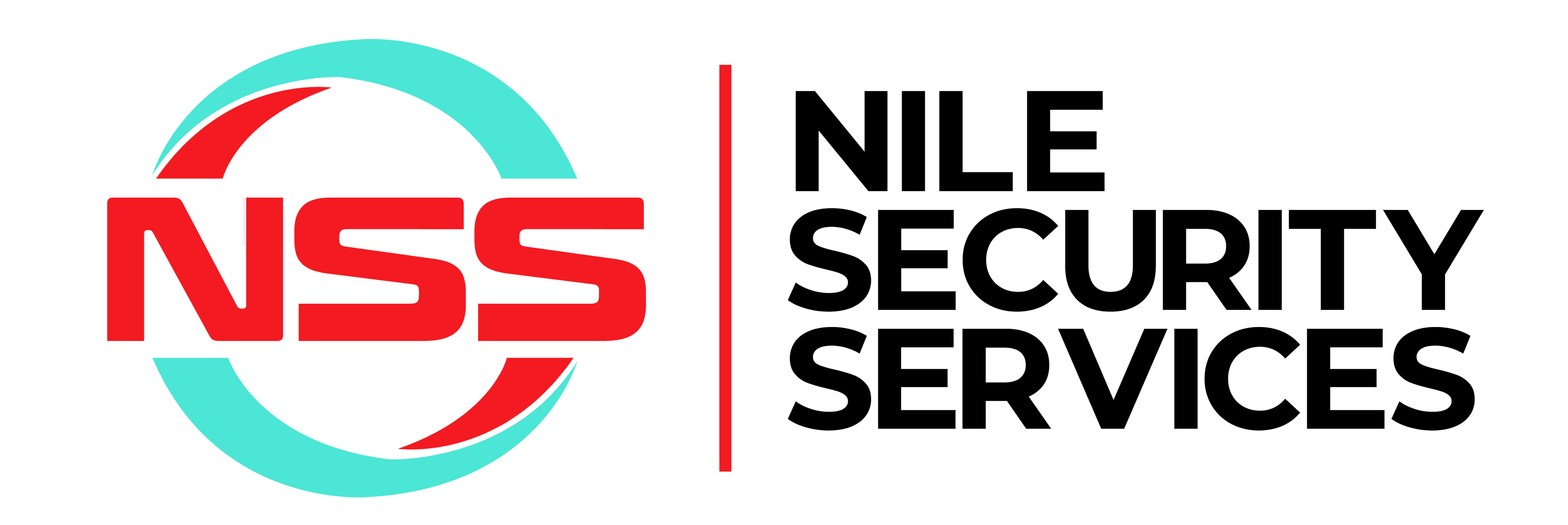 Nile Security Logo